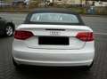 Audi A3 A3 Cabriolet Cabriolet 1.8 TFSI Leder Sitzheizung Weiß - thumbnail 11