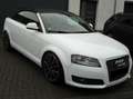 Audi A3 A3 Cabriolet Cabriolet 1.8 TFSI Leder Sitzheizung Weiß - thumbnail 5
