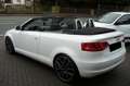 Audi A3 A3 Cabriolet Cabriolet 1.8 TFSI Leder Sitzheizung Weiß - thumbnail 4