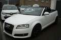 Audi A3 A3 Cabriolet Cabriolet 1.8 TFSI Leder Sitzheizung Weiß - thumbnail 2