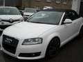 Audi A3 A3 Cabriolet Cabriolet 1.8 TFSI Leder Sitzheizung Weiß - thumbnail 6