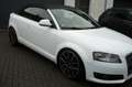 Audi A3 A3 Cabriolet Cabriolet 1.8 TFSI Leder Sitzheizung Weiß - thumbnail 7