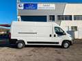 Opel Movano FGN 3.5T L3H2 140 CH PACK BUSINESS Blanc - thumbnail 2