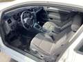 Volkswagen Golf 1.6 TDI 110 BlueMotion Technology FAP Allstar - thumbnail 14