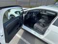 Volkswagen Golf 1.6 TDI 110 BlueMotion Technology FAP Allstar - thumbnail 8