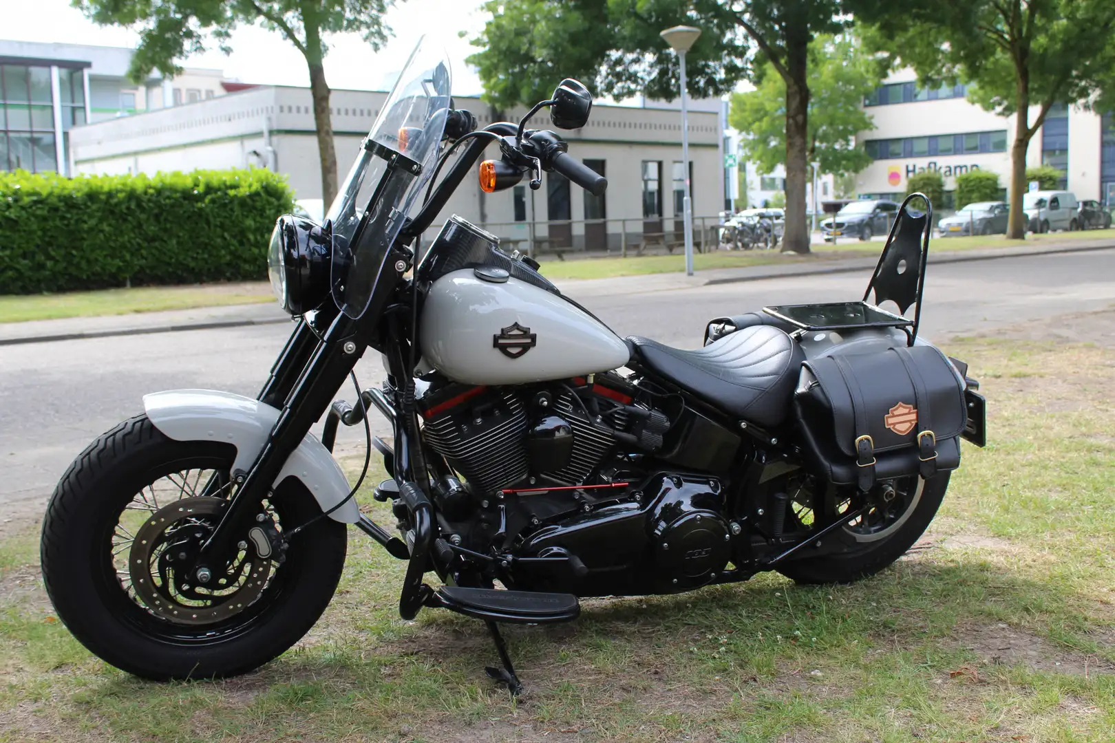 Harley-Davidson Softail Slim FLS Softail Beige - 2