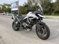 Triumph Tiger 900 GT PRO Bianco - thumbnail 6