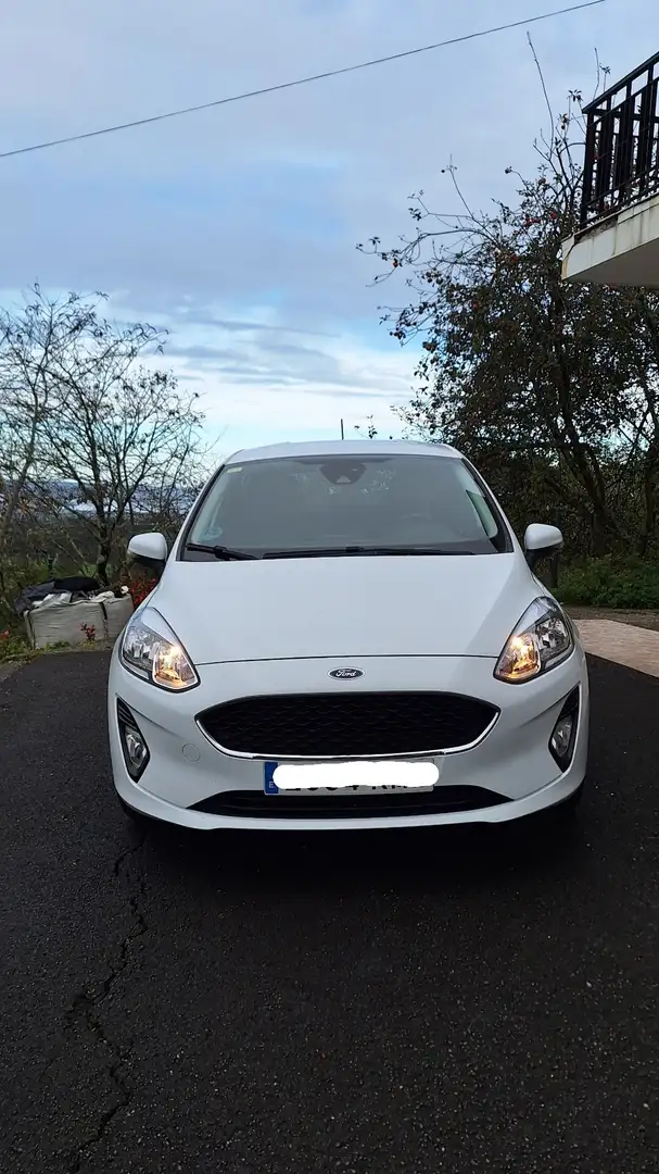Ford Fiesta 1.0 EcoBoost S/S Trend+ 100 - 1
