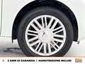 Volkswagen up! 5p 1.0 eco  move  68cv my20 Blanco - thumbnail 15