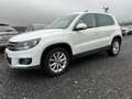 Volkswagen Tiguan Lounge Sport & Style BMT*PANO*KAMERA*PDC* Weiß - thumbnail 1