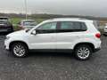 Volkswagen Tiguan Lounge Sport & Style BMT*PANO*KAMERA*PDC* Weiß - thumbnail 7