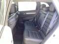 Renault Koleos Intiale Paris 4WD 2.0 BLUE dCi 190 FAP Weiß - thumbnail 6