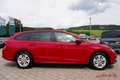 Skoda Octavia Combi Ambition Rot - thumbnail 4