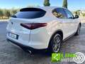 Alfa Romeo Stelvio 2.2 Q4 190 CV  AWD AUTOMATIC Bianco - thumbnail 11