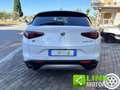 Alfa Romeo Stelvio 2.2 Q4 190 CV  AWD AUTOMATIC Bianco - thumbnail 10
