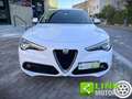 Alfa Romeo Stelvio 2.2 Q4 190 CV  AWD AUTOMATIC Bianco - thumbnail 4