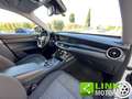 Alfa Romeo Stelvio 2.2 Q4 190 CV  AWD AUTOMATIC Bianco - thumbnail 13