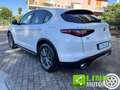 Alfa Romeo Stelvio 2.2 Q4 190 CV  AWD AUTOMATIC Bianco - thumbnail 8