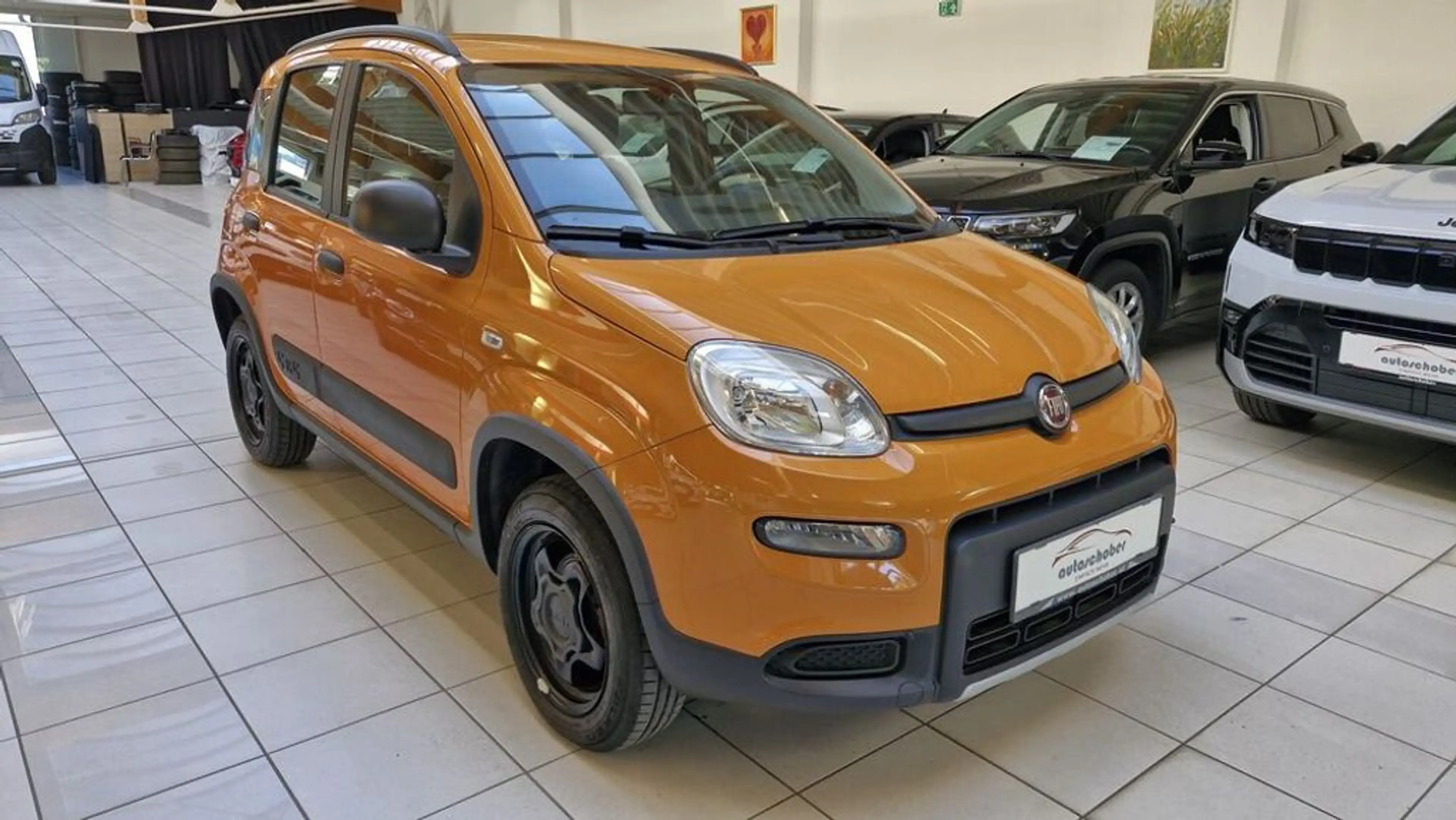 Fiat Panda 4x4 Wild — photo 3