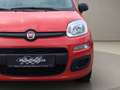 Fiat Panda 1.0 Urban Klima Parktronik DAB Radio Rot - thumbnail 14