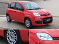 Fiat Panda 1.0 Urban Klima Parktronik DAB Radio Rot - thumbnail 6