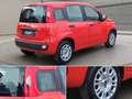 Fiat Panda 1.0 Urban Klima Parktronik DAB Radio Rot - thumbnail 8