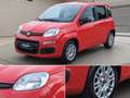 Fiat Panda 1.0 Urban Klima Parktronik DAB Radio Rot - thumbnail 3