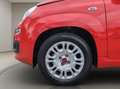Fiat Panda 1.0 Urban Klima Parktronik DAB Radio Rot - thumbnail 15
