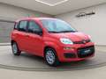 Fiat Panda 1.0 Urban Klima Parktronik DAB Radio Rot - thumbnail 5