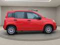 Fiat Panda 1.0 Urban Klima Parktronik DAB Radio Rot - thumbnail 7