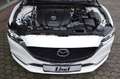Mazda 6 Kombi (GJ)(08.2012-) Mazda6 G 194 SPORTSLINE Blanc - thumbnail 12