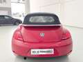 Volkswagen Maggiolino Maggiolino Cabrio 1.2 tsi Design - thumbnail 6