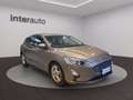 Ford Focus 1.0 ecoboost Plus 100cv Grau - thumbnail 14