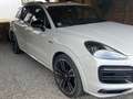 Porsche Cayenne Cayenne III E-Hybrid PHEV 17,9 kWh Platinum Edition Aut. Platinum Edition Grau - thumbnail 4