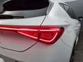 CUPRA Leon -38% 1.5 eTSI 150cv BVA+GPS+CAM+MATRIX LED+Opts Beige - thumbnail 44