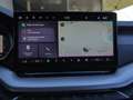 Skoda Octavia Selection TDI DSG Grau - thumbnail 18