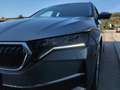 Skoda Octavia Selection TDI DSG Grau - thumbnail 9
