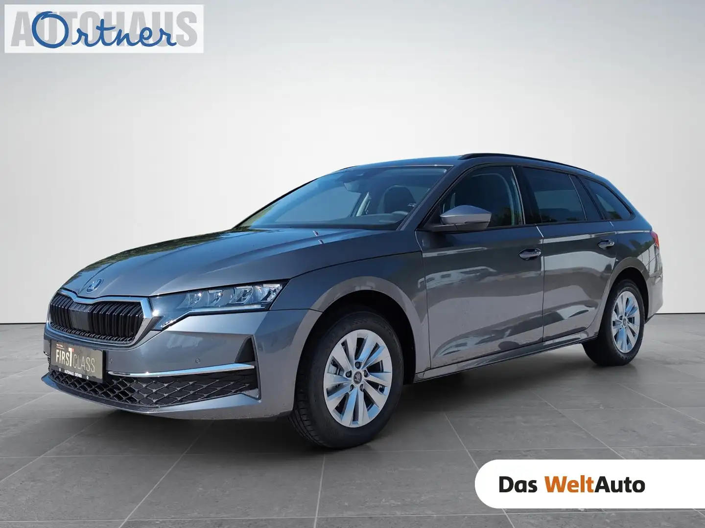 Skoda Octavia Selection TDI DSG Grau - 1