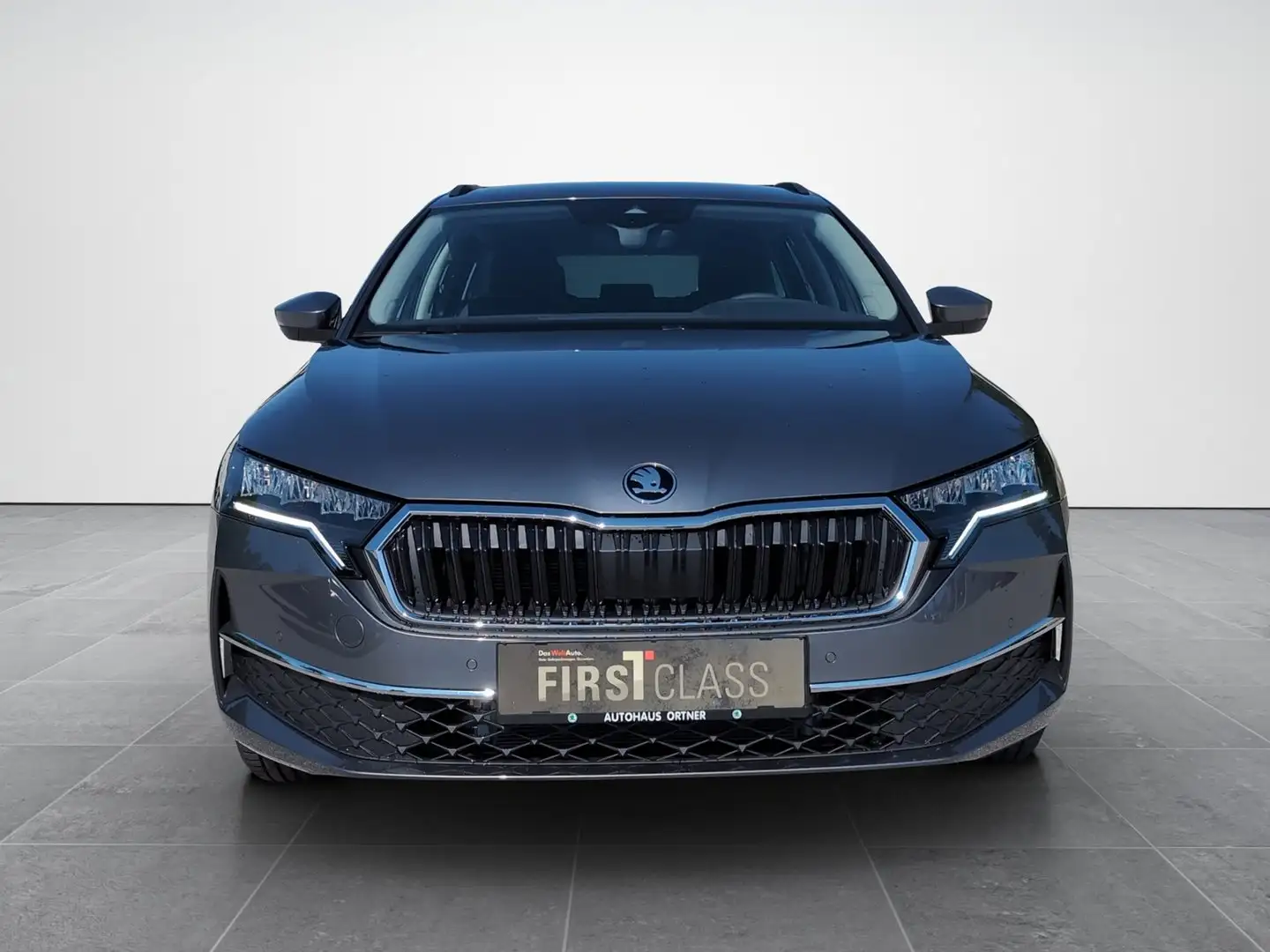 Skoda Octavia Selection TDI DSG Grau - 2