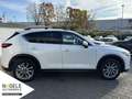 Mazda CX-5 2.5 Sports-Line 2WD|ACC+LED+Head-Up+Memory Weiß - thumbnail 7