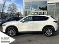Mazda CX-5 2.5 Sports-Line 2WD|ACC+LED+Head-Up+Memory Weiß - thumbnail 3