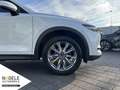 Mazda CX-5 2.5 Sports-Line 2WD|ACC+LED+Head-Up+Memory Weiß - thumbnail 14