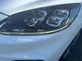 Ford Kuga 1.5 EcoBoost ST-Line X FWD 150 Blanco - thumbnail 16