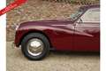 Alfa Romeo Alfa 6 6C 2500 PRICE REDUCTION! Sport Berlina GT Painstak Rouge - thumbnail 16