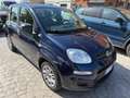 Fiat Panda 1.0 FireFly S&S Hybrid Eas 5 posti no obbligo fina Blu/Azzurro - thumbnail 2