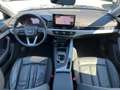 Audi A4 Avant 35 TDI S-tronic | AHK*ACC Grau - thumbnail 10
