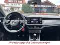 Skoda Kamiq Active *LED*,SitzH*Bluetooth*Alu*1.Hand* Blanc - thumbnail 11