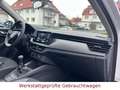 Skoda Kamiq Active *LED*,SitzH*Bluetooth*Alu*1.Hand* Blanc - thumbnail 16