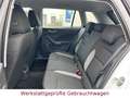 Skoda Kamiq Active *LED*,SitzH*Bluetooth*Alu*1.Hand* Blanc - thumbnail 14