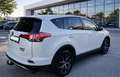 Toyota RAV 4 RAV4 2,5 Hybrid Active (( FIXPREIS )) Weiß - thumbnail 3